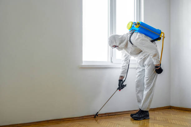 Best Pest Prevention Services  in Royse City, TX